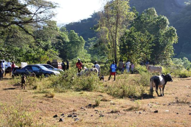 A section of the almost 300 year-old livestock market, British, nestled in the hills of Clarendon