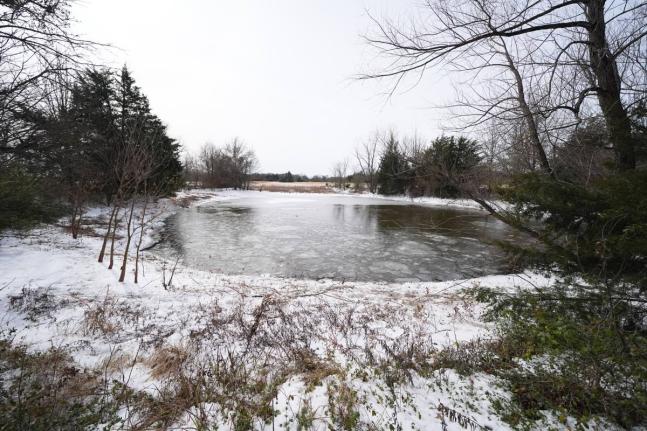 A pond where neighbors say three young boys died after falling into the water is seen on Tuesday, January 27, 2026, in Bonham, Texas. 