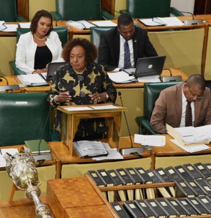 Minister of Culture, Gender, Entertainment and Sport, Olivia Grange, addresses the House of Representatives on  January 27.