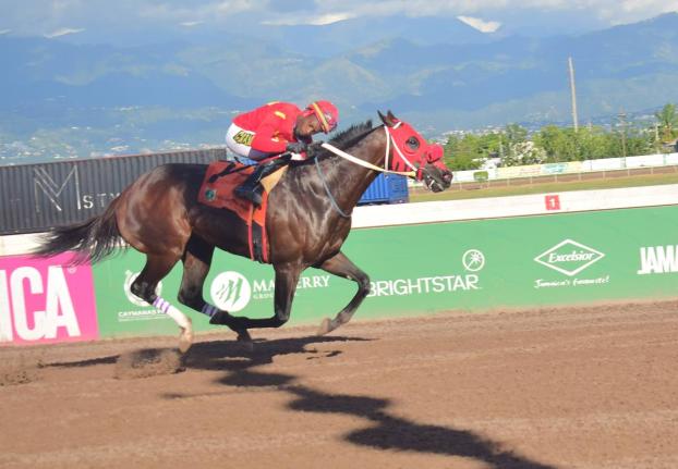 
PACK PLAYS, ridden by Christopher Mamdeen, wins the Eileen Cliggott Memorial Trophy over six and a half furlongs at Caymanas Park yesterday.