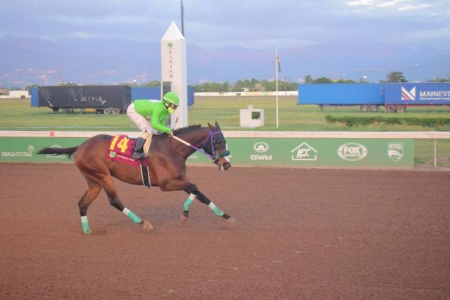 Anthony Minott/Freelance Photographer
MACK AND ROME, ridden by Gavin Harris, wins the three-year-old and upwards Overnight Allowance Stakes George Hosang Trophy over five furlongs straight at Caymanas Park yesterday.