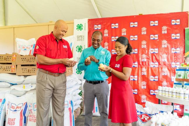 Retired Colonel Jaimie Ogilvie (left), vice president of Hi‑Pro; Peter Thompson (centre), executive director of Jamaica 4‑H Clubs; and Sherrae Wong‑Black (right), Hi‑Pro farm store manager, share a light moment as they handle three of the 3,000 bab