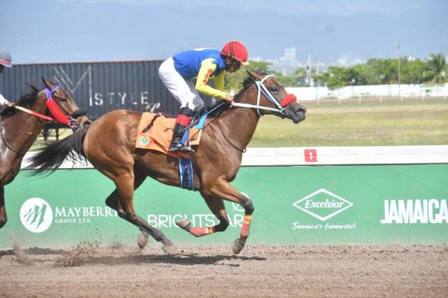 TAPPININ, with Anthony Thomas aboard, wins the fifth race over five furlongs round at Caymanas Park on Saturday, February 21, 2026.