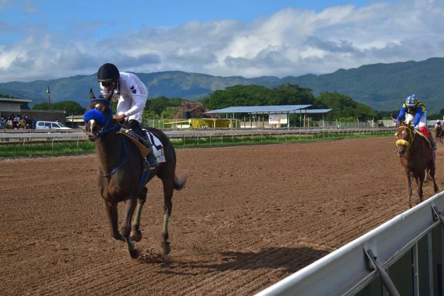 Front-running NEO STAR should start favourite against the top-weight carrying, but speedy DON KWESI. 