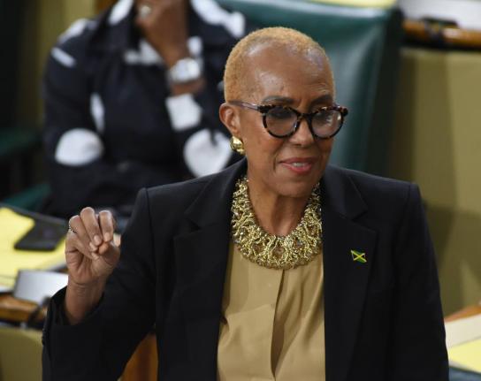 Minister of Finance, Fayval Williams. - File photo.