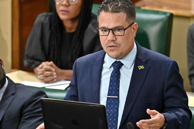 Government Minister, Matthew Samuda. - File photo.
