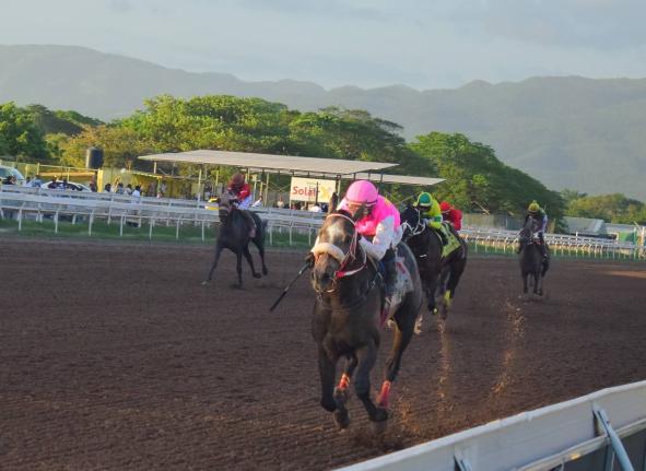 RIDEALLDAY, ridden by American jockey Javier Castellano, wins the fourth running of the Mouttet Mile at Caymanas Park on Saturday, December 6, 2025.