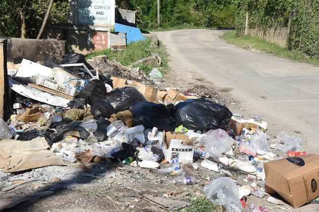 Uncollected garbage overflows onto the streets in Cave Valley, St Ann, earlier this year.
