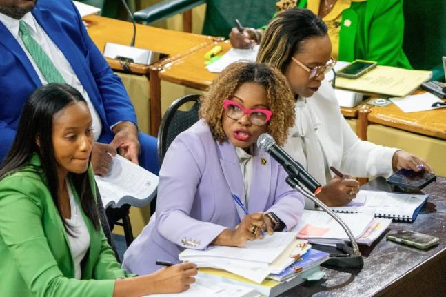 Minister of Education, Skills, Youth and Information, Senator Dr Dana Morris Dixon (centre), addresses Friday’s (March 6) meeting of the Standing Finance Committee of the House of Representatives, whose members reviewed the 2026/27 Estimates of Expenditu