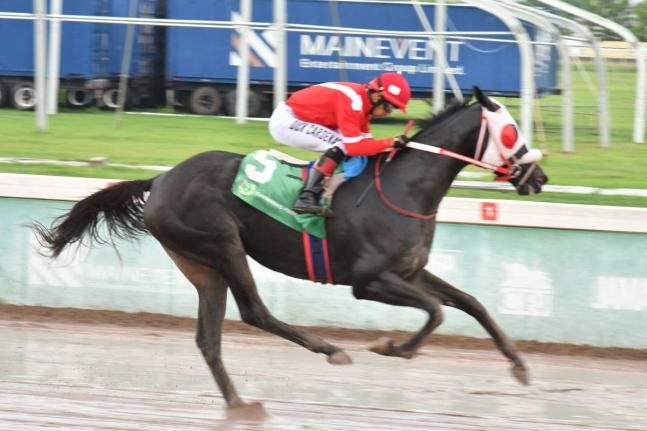 SUPERNATURAL POWER, ridden by Dick Cardenas, wins the Viceroy Trophy over a mile at Caymanas Park on October 20, 2025. 