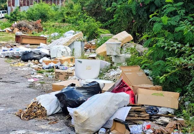 Garbage pileup in the Waltham Park Road community. 